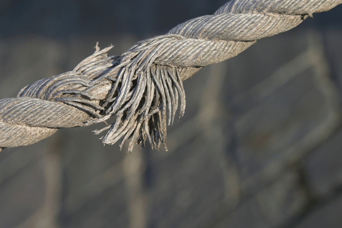 inspecting rope for damage