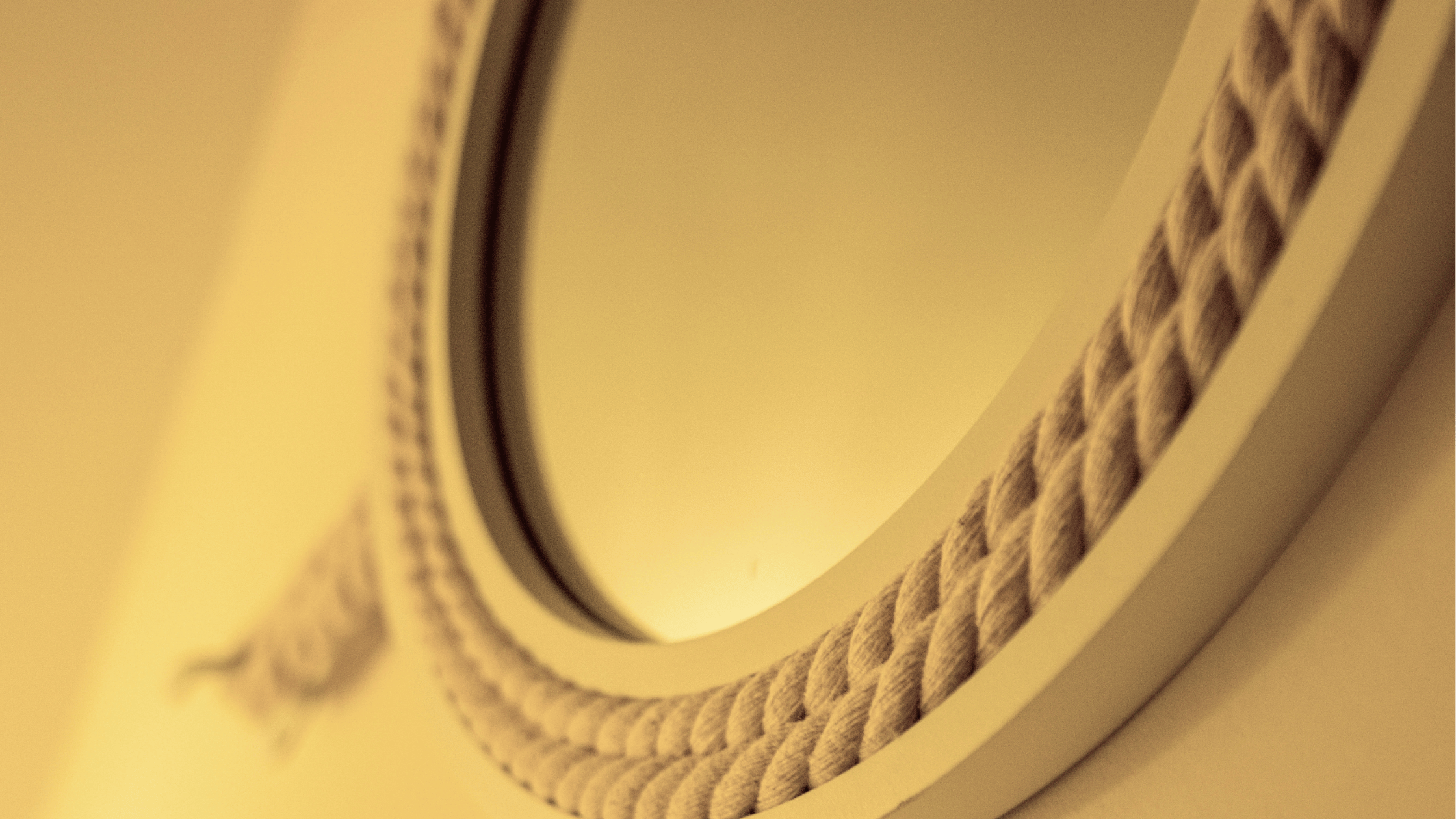 thumbnail image 2 of Burgundy Velour Rope - 72" Decorative Stanchion Rope With 1.5" Diameter & Mirror Finish 2 of 11