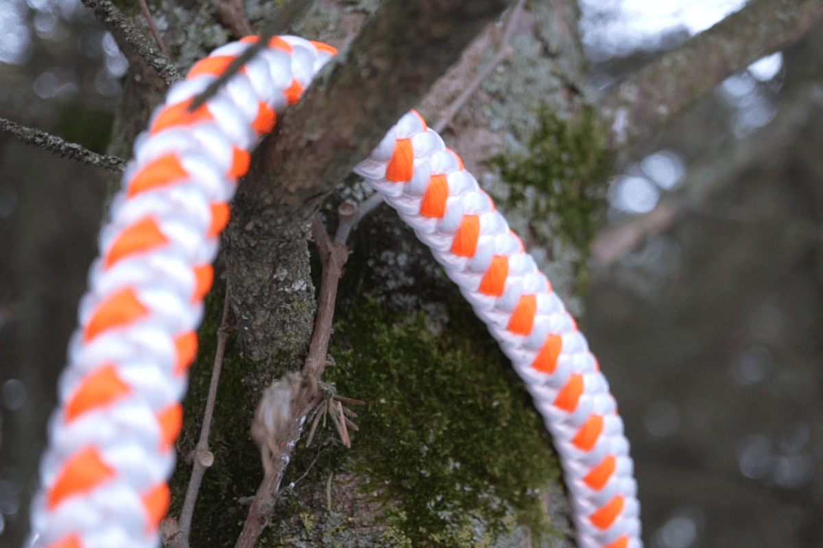 treeblitz arborist rope
